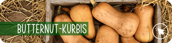 Butternut