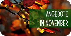 Angebote November