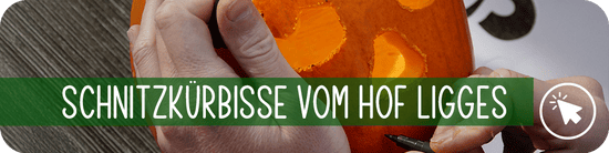 Kürbisse vom Hof Ligges