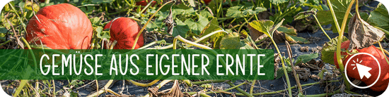 Gemüse aus der Gärtnerei