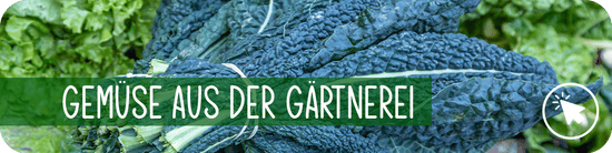 Gemüse aus der Gärtnerei