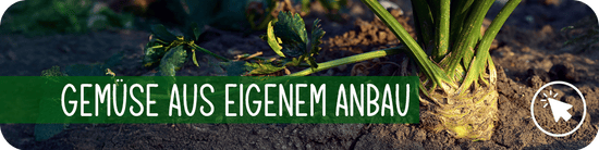 Gemüse aus der Gärtnerei