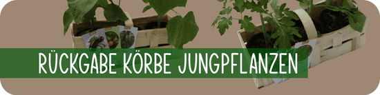 Rückgabe Körbe Jungpflanzen