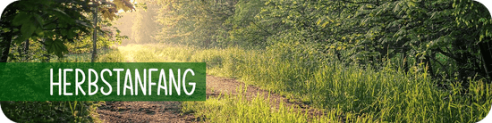 Herbstanfang