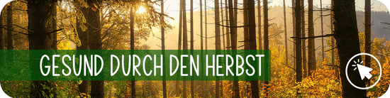 Gesund durch den Herbst