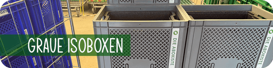 Isoboxen